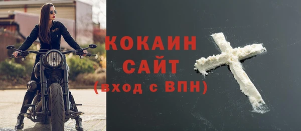 сатива Тайга