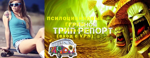 сатива Тайга