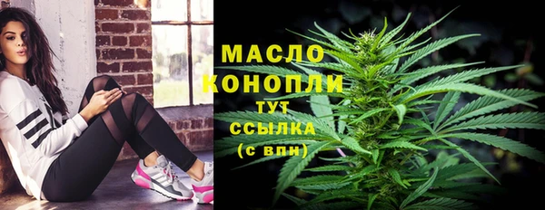 сатива Тайга