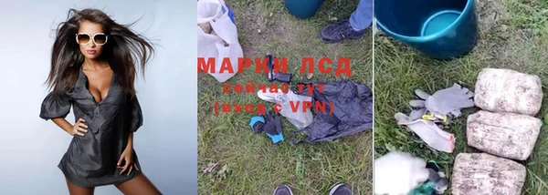 спайс Сясьстрой