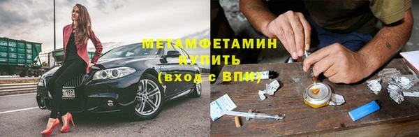 сатива Тайга