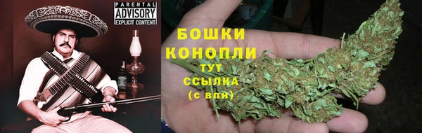 spice Тавда